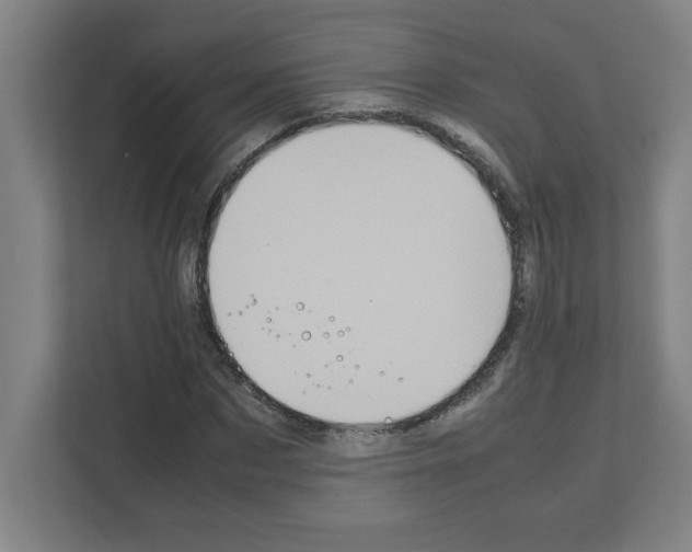 X0000111150873200908111132