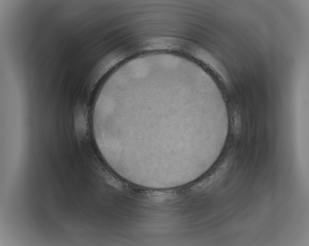 X0000111150874200908111132