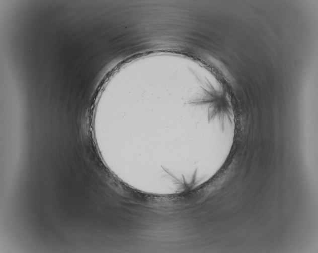 X0000111150875200908111132