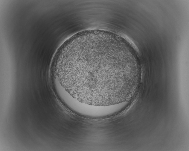 X0000111150876200908111132