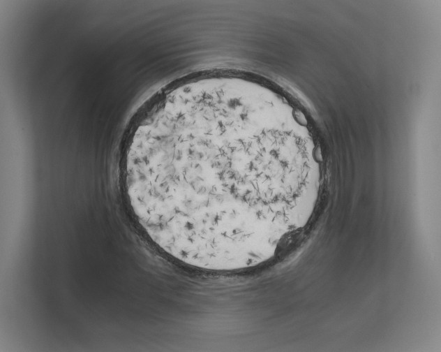 X0000111150877200908111132