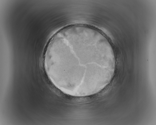 X0000111150879200908111132