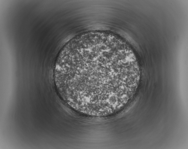 X0000111150881200908111132