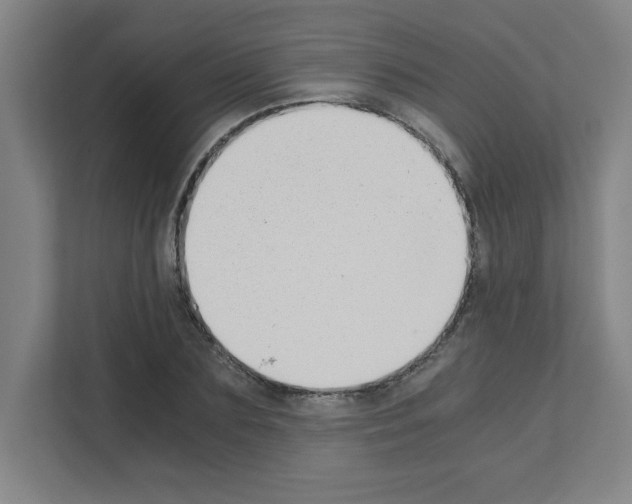 X0000111150883200908111132