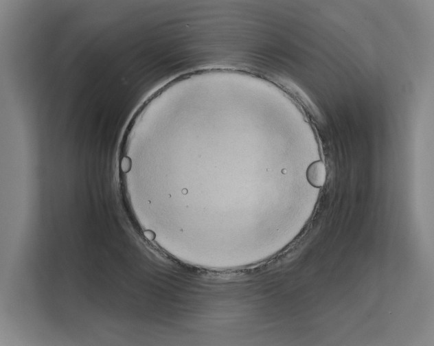 X0000111150884200908111132