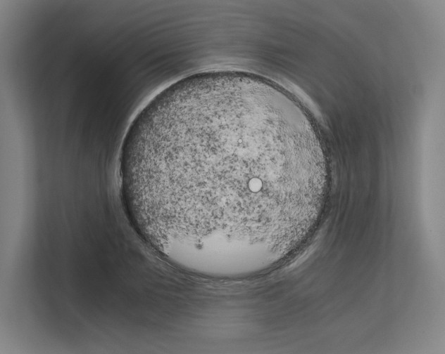 X0000111150885200908111132