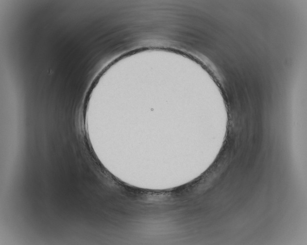 X0000111150887200908111132