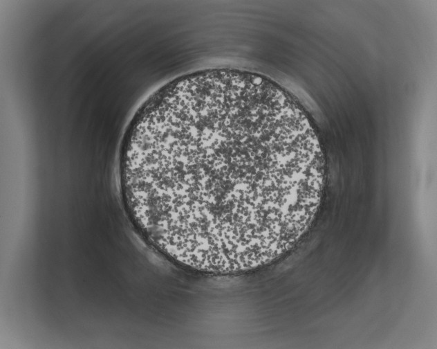 X0000111150888200908111132