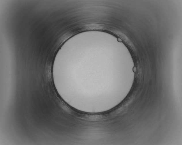 X0000111150889200908111131