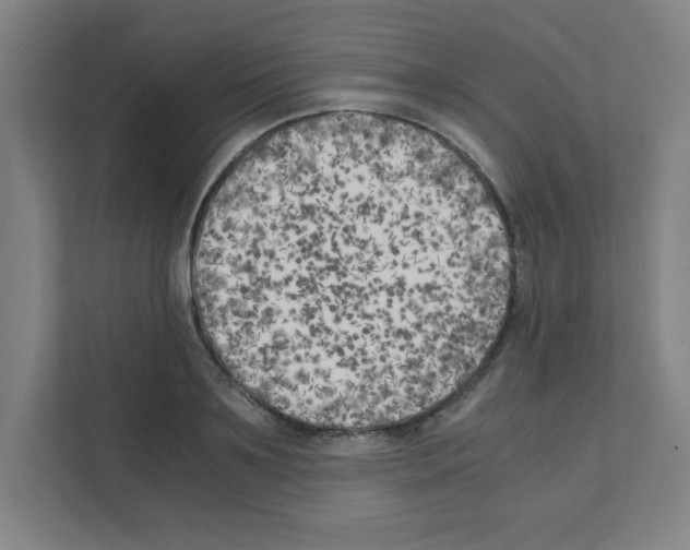 X0000111150891200908111131