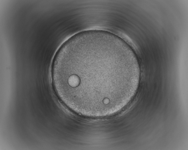 X0000111150892200908111131