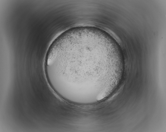 X0000111150893200908111131