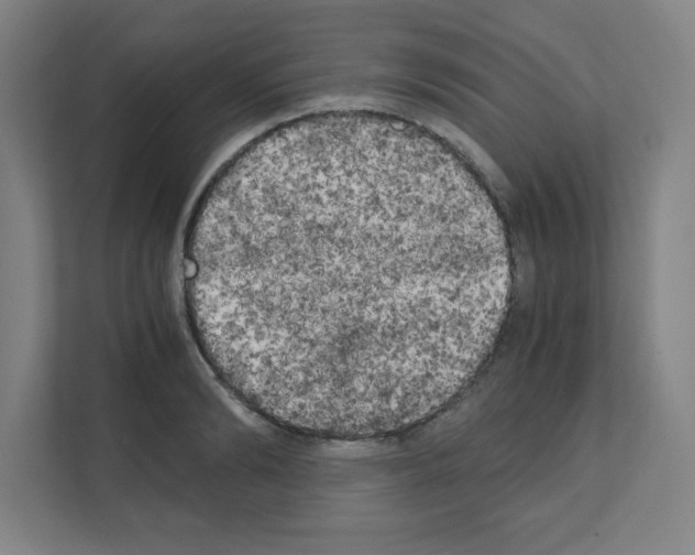 X0000111150894200908111131