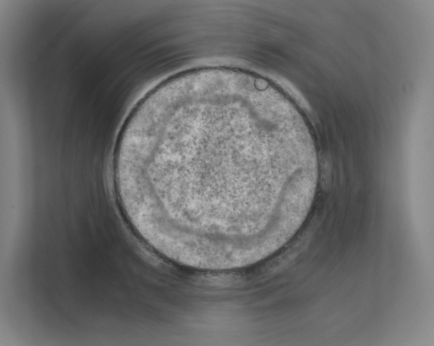 X0000111150895200908111131