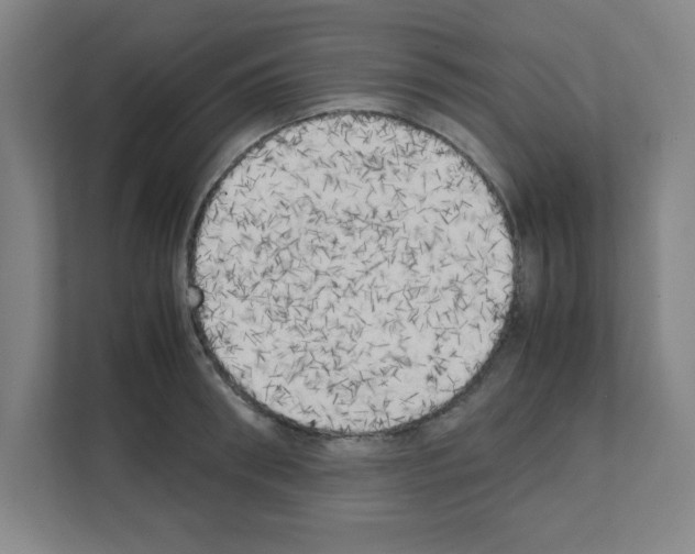 X0000111150898200908111131