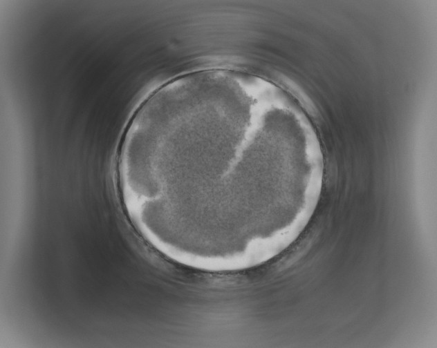 X0000111150899200908111131