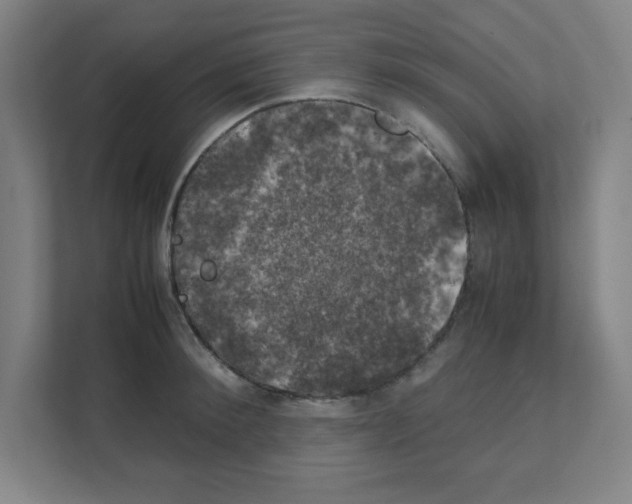 X0000111150900200908111131