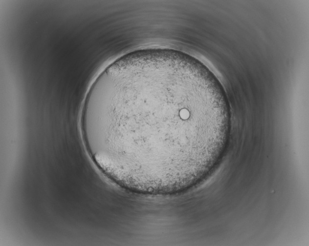 X0000111150901200908111131