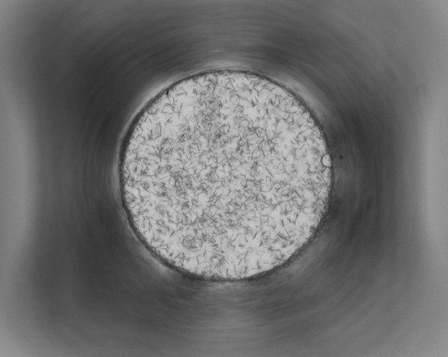 X0000111150902200908111131