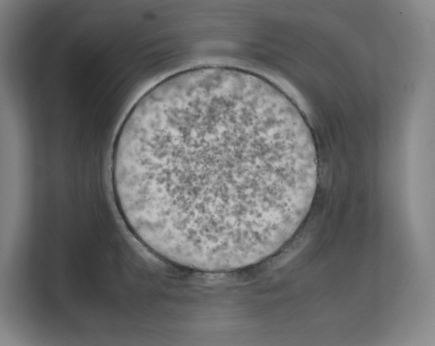 X0000111150903200908111131