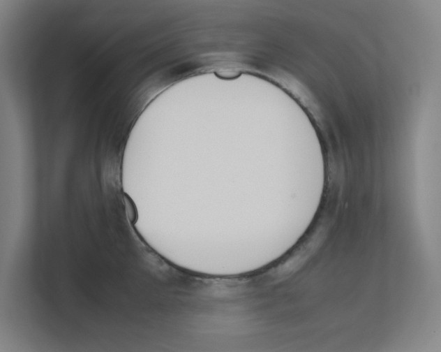 X0000111150905200908111131