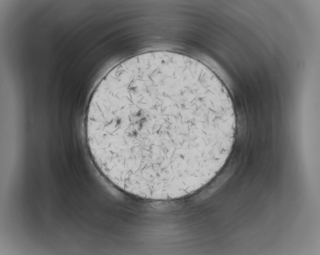 X0000111150906200908111131