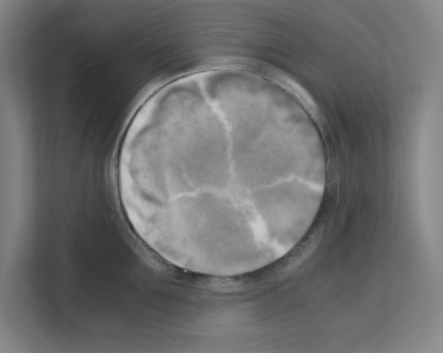 X0000111150907200908111131