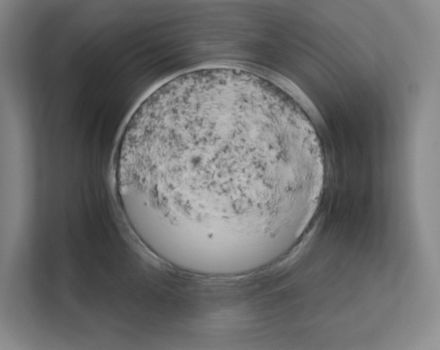 X0000111150908200908111131