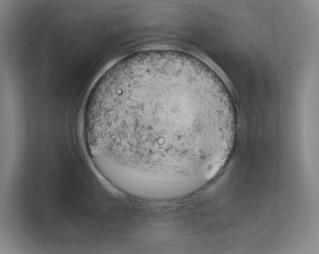 X0000111150909200908111131