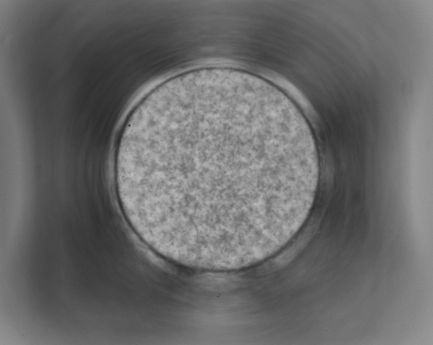 X0000111150910200908111131