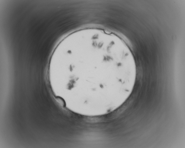 X0000111150911200908111131