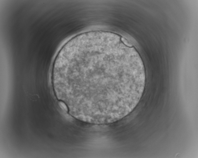 X0000111150912200908111131