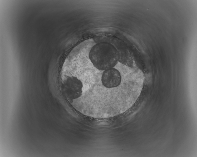 X0000111150913200908111131