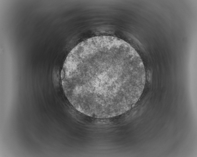 X0000111150915200908111131