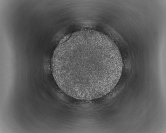 X0000111150916200908111131