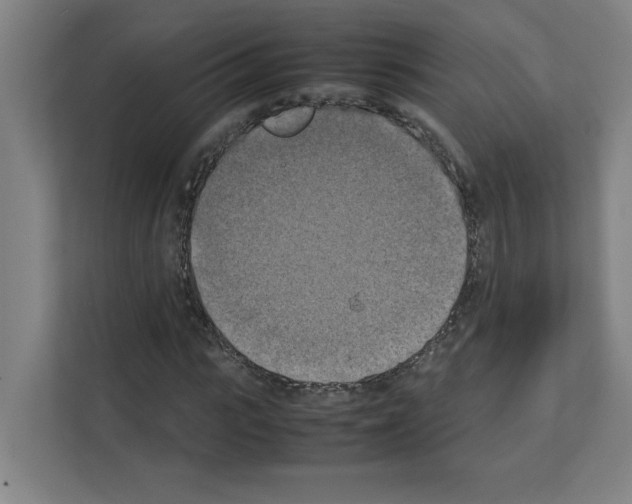 X0000111150919200908111131