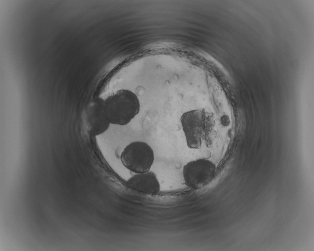 X0000111150921200908111131