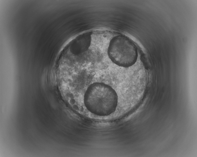 X0000111150925200908111131