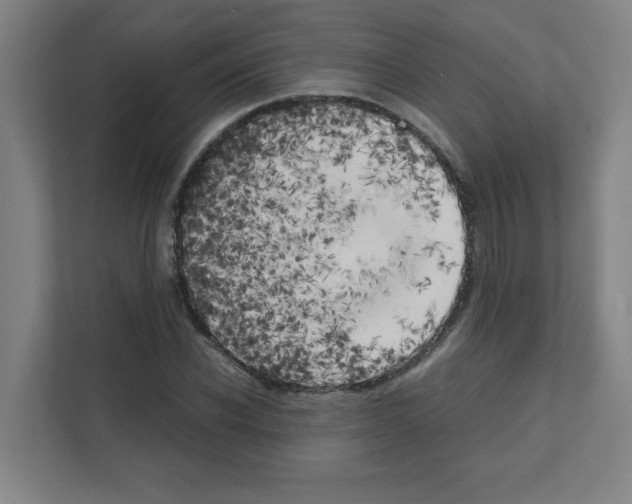 X0000111150926200908111131