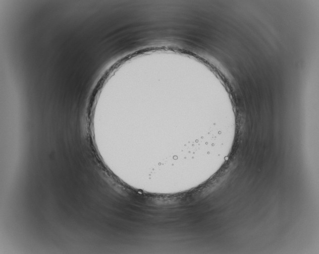 X0000111150927200908111131