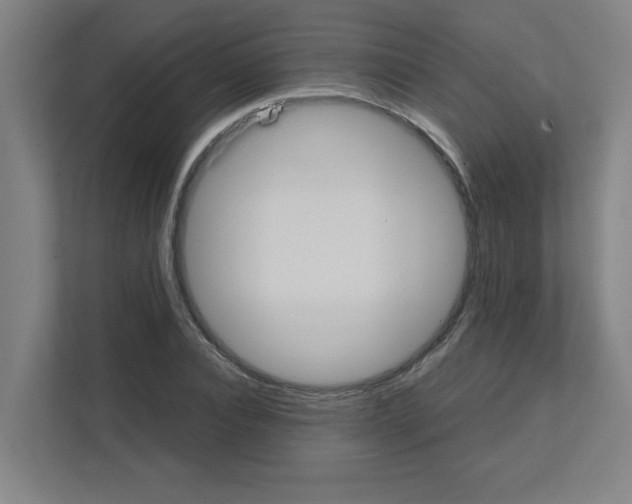 X0000111150928200908111131