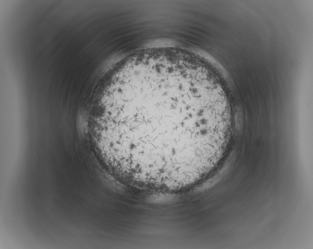 X0000111150929200908111131