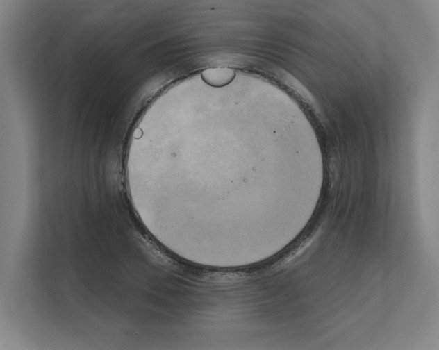 X0000111150930200908111131