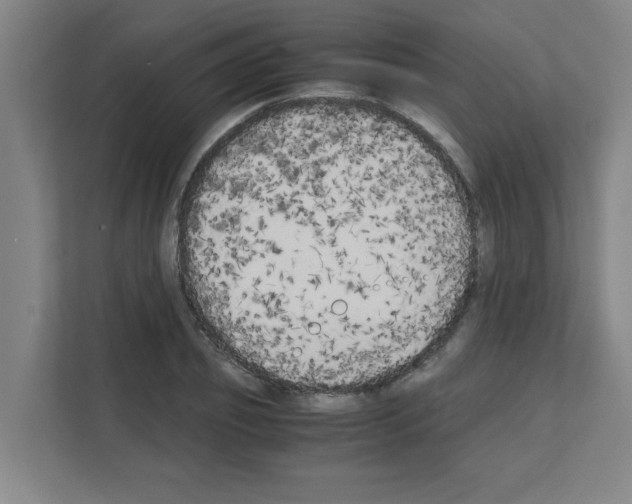 X0000111150933200908111131