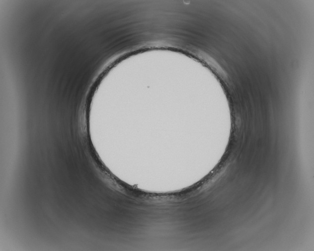 X0000111150934200908111131