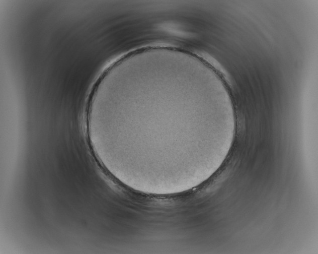 X0000111150935200908111131