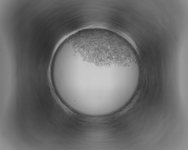 X0000111150936200908111131