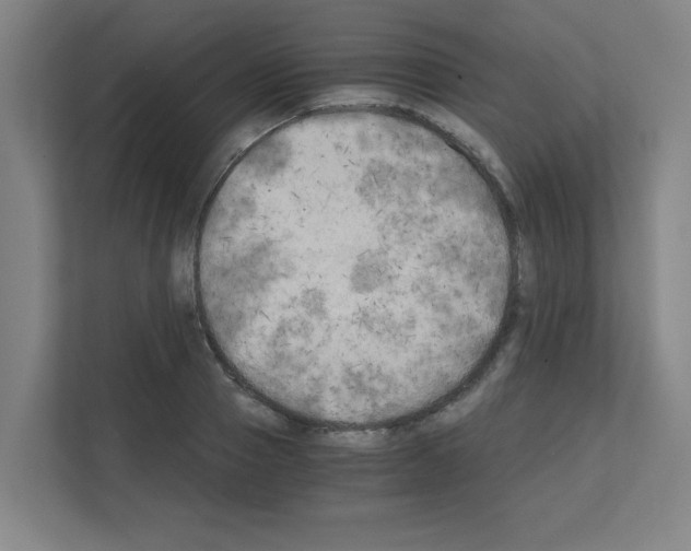 X0000111150937200908111131