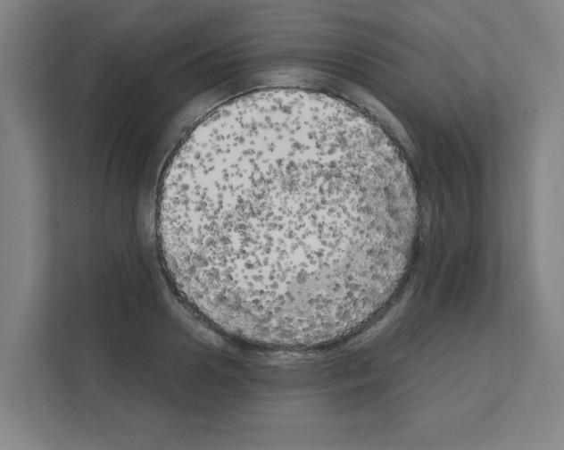 X0000111150938200908111131