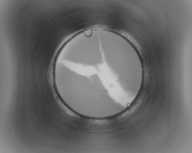 X0000111150941200908111131